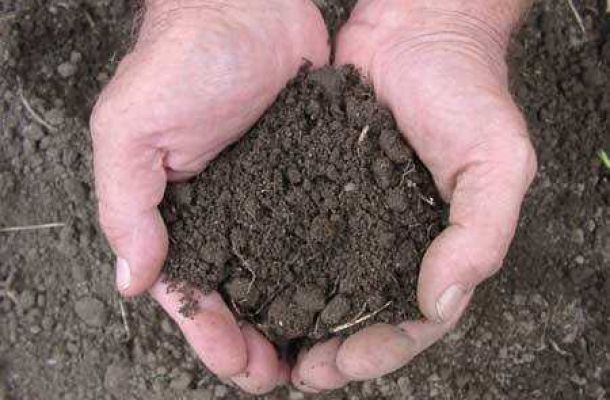 Cómo saber el precio de mi tierra