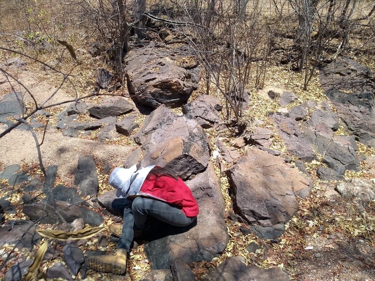 Mapeamento Geológico: técnicas e métodos essenciais